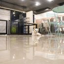 도그비잉펫케어 이미지