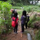 와부초등학교 이미지