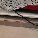 대창세탁 이미지