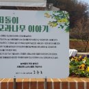 서동상회