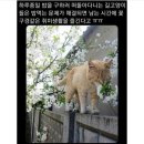 봄날떡볶이