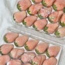 세라농장(2농장) 이미지