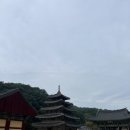 덕림인상