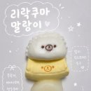 리락쿠마 말랑이 후기｜알리익스프레스 내돈내산, 무락이·바나나쿠마·만두쿠마 비교