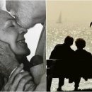 보배종합식품 이미지