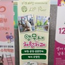 리프패럿검단