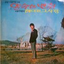 이수미헤어 - 창원시 성산구 정동로162번길 74 | 이수미헤어