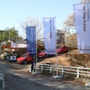 펫도그 애견스쿨 이미지