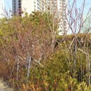 오륙도중학교 이미지