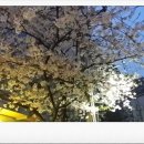 강남도시관제센터 이미지
