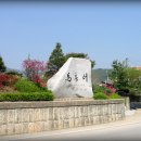 마방터