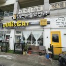 성보펫케어(주) 이미지