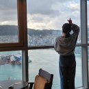 씨유자갈치점 | 2025-10 부산 1박2일 먹여행 숙소 :: 호텔 아델라, 디럭스 더블룸 항구전망 내돈내산 솔직후기