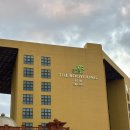 (주)부영주택 제주부영호텔&리조트 | 제주도 5성급 부영리조트&amp;호텔 내돈내산 2박 숙박후기