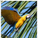 새들농장 이미지