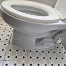 달서초등학교 이미지