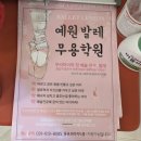 그레이스발레무용학원 | 동탄발레학원 예원발레무용학원 성인발레 취미반 후기