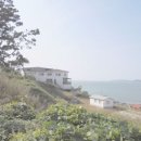 제니스365약국 이미지
