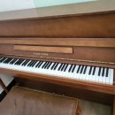 금동초등학교 이미지