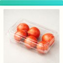 친환경 토마토 이미지