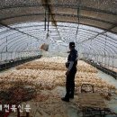 봉남파출소 이미지