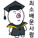 빨간피자&깻잎두마리치킨 이미지