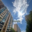 압구정-124 이미지