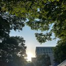 UR(의정부시)-[부용로]-하-8 | 밍숭맹숭한 여름글 ~.. 🍀🍏🧃