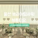 [뷰튜디오] 울산 중구 브라이덜샤워 드레스 무료 대여 이용 후기