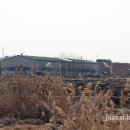 김포시썰매장식당 이미지