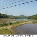 [충주 앙성] 저수지인근에 대194평,건29평/2억3천만원 이미지