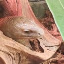 GR(서천군)-[금강로]-하-2 | 여행] 변산 가볼만한 곳 - 격포해수욕장, 채석강, 채석강맛집, 내소사, 곰소아리랑식당, 서천국립생태원