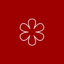 스타식당 이미지