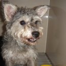 신석초교 이미지