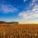 다대포해수욕장역 2번 출구 앞 이미지