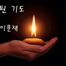 마음향기 시낭송 이미지