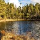 돌고래오토캠핑장 이미지