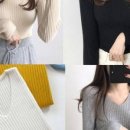 몰골지 이미지