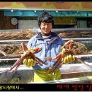 기장시장대게 이미지