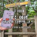 입산 | 한라산 성판악 코스 총정리 후기 주차 예약방법 입산 시간 등반인증서 통제