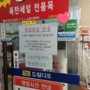 희망이 움트집 이미지