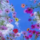 송헌섭소아청소년과의원 이미지