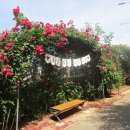 풍덕공원 이미지