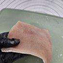 거성 | 거성푸드 주문 후기 | 돼지껍데기로 강아지 간식을 만들자