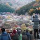 비밀의 정원 이미지
