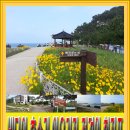 씨젠콘도텔 이미지