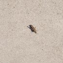 용암천4 이미지