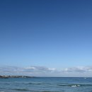 만마 | [공지] 제주 태교여행 3박 4일 여행 2일차 제주 동쪽🏝️ 서우봉 오브젝트 제주점 곰막식당 세화해수욕장...