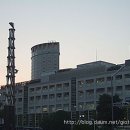 [TIP]도쿄 근교 최대 온천테마파크 유메구리만케교 (湯巡り万華卿) 이미지