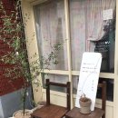 무늬카레 이미지